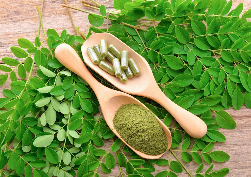 Bioactive Components in Moringa Oleifera Leaves