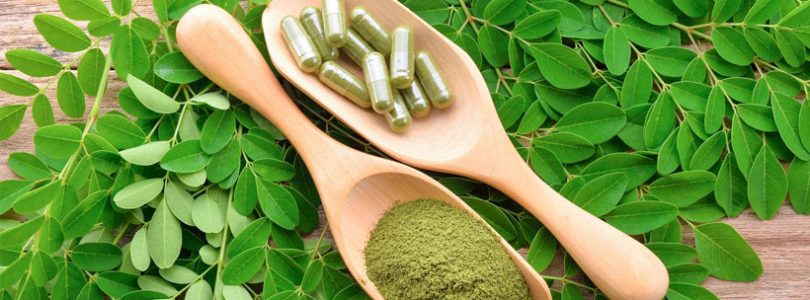 Bioactive Components in Moringa Oleifera Leaves